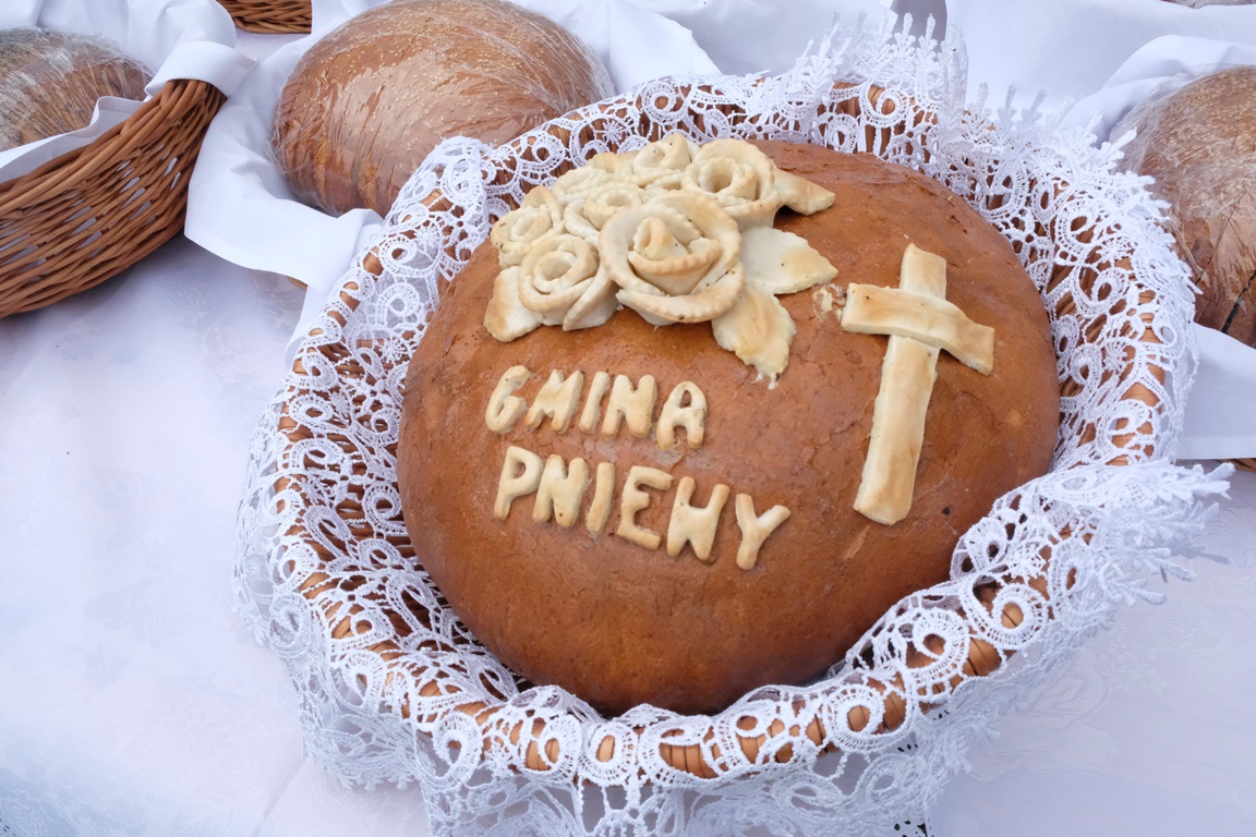 Dożynki_Gminne_2023185