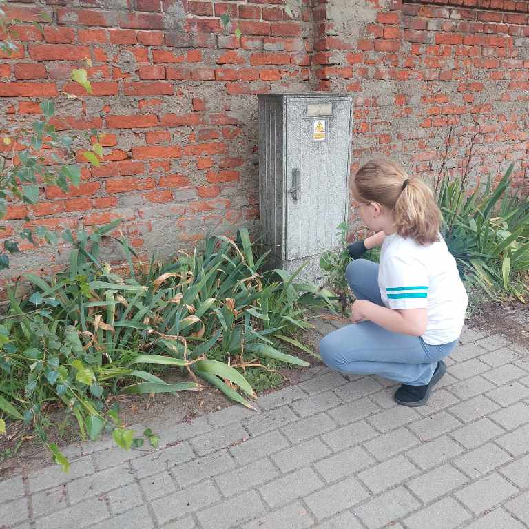 Gotowi_do_szkoły_(2)