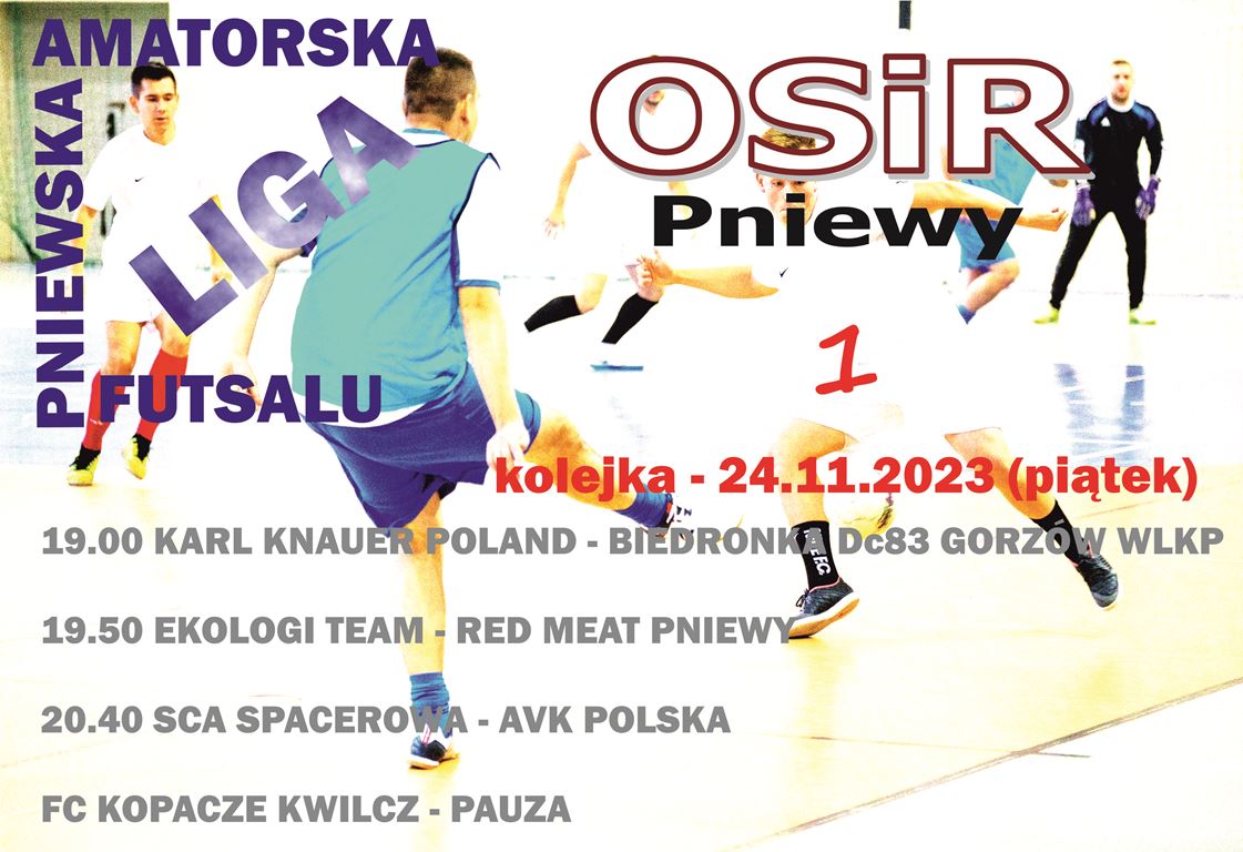 XIV_Edycja_Pniewskiej_Amatorskiej_Ligi_Futsalu