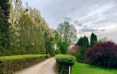 Przyroda w Gminie Pniewy