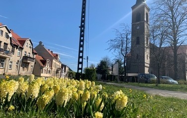 Przyroda w Gminie Pniewy