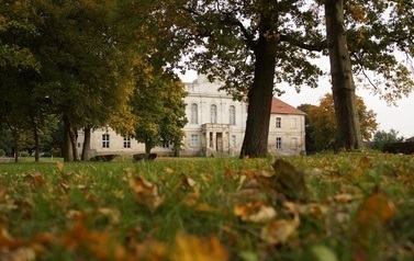 Liceum Og&oacute;lnokształcące w Pniewach