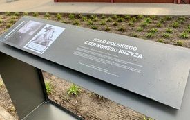 Koniec prac w Parku Sokoła 6