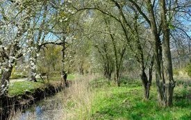 VIII BIEG ŚW. URSZULI ZA NAMI! 56