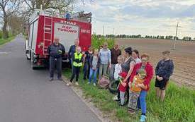 Porządkowanie okolic Turowa 5