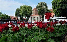 Rynek pniewski