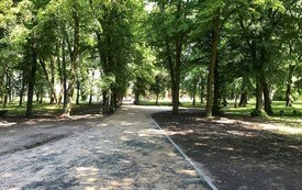 Pniewska inwestycja (11)
