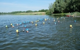 DSCF7130
