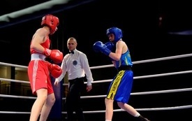 Gala Boksu059