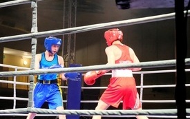 Gala Boksu053