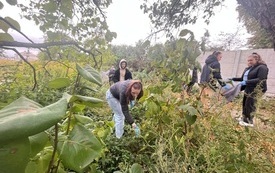 SprzątamyDlaPolski (26)