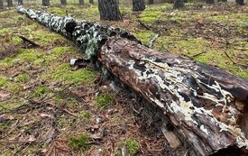 Czarnk&oacute;w i Dolina Noteci (3)