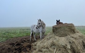 Czarnk&oacute;w i Dolina Noteci (2)
