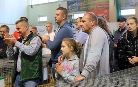 Wystawa Kr&oacute;lik&oacute;w001015