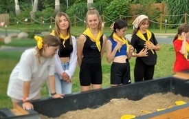 image12