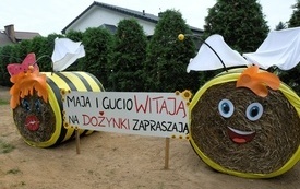 Dożynki Gminne 2023016