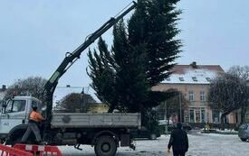 Choinka na rynku w Pniewach (10)