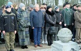 Obchody Rocznicy Powstania Wielkopolskiego (222)