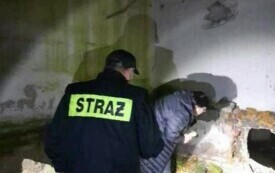 Monitoring os&oacute;b bezdomnych w Gminie Pniewy (3)