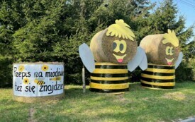 Ozdoby dożynkowe w Psarskiem (34)