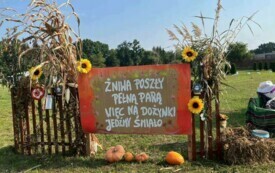 Ozdoby dożynkowe w Psarskiem (25)