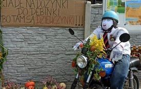 Dekoracje- Dożynki Gminne (3)
