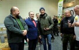 Wystawa kr&oacute;lik&oacute;w w Pniewach (243)