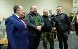 Wystawa kr&oacute;lik&oacute;w w Pniewach (211)