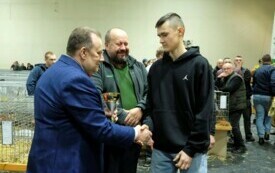 Wystawa kr&oacute;lik&oacute;w w Pniewach (161)