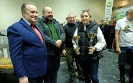 Wystawa kr&oacute;lik&oacute;w w Pniewach (154)