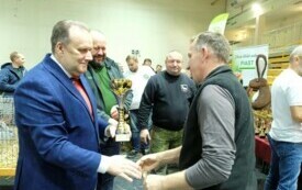 Wystawa kr&oacute;lik&oacute;w w Pniewach (121)