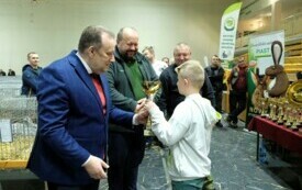 Wystawa kr&oacute;lik&oacute;w w Pniewach (108)
