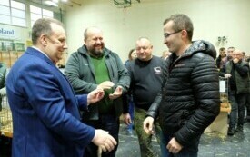 Wystawa kr&oacute;lik&oacute;w w Pniewach (97)