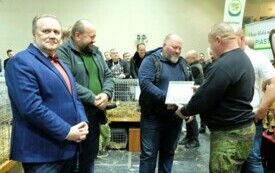 Wystawa kr&oacute;lik&oacute;w w Pniewach (70)