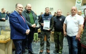 Wystawa kr&oacute;lik&oacute;w w Pniewach (55)