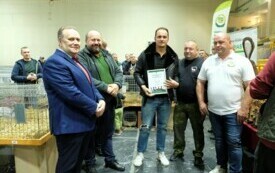 Wystawa kr&oacute;lik&oacute;w w Pniewach (53)