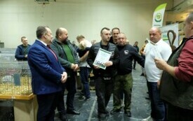 Wystawa kr&oacute;lik&oacute;w w Pniewach (50)