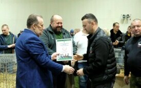 Wystawa kr&oacute;lik&oacute;w w Pniewach (49)