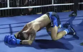 boksmma44
