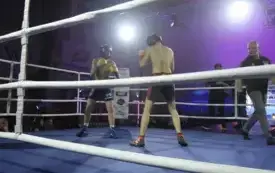 boksmma31
