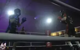 boksmma19