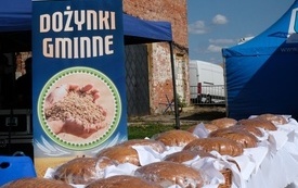 Dożynki Gminne 2021  (91)