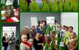 Świąteczne-Inspiracje-Warsztaty-Florystyczne-dla-Senior&oacute;w (5)