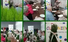 Świąteczne-Inspiracje-Warsztaty-Florystyczne-dla-Senior&oacute;w (1)