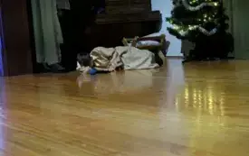 Orszak Trzech Kr&oacute;li (143)