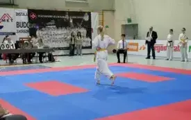 Mistrzostwa w karate0163