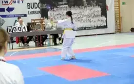 Mistrzostwa w karate0158
