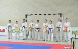 Mistrzostwa w karate0152