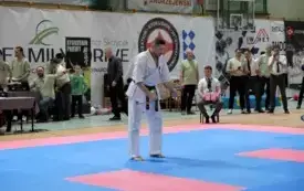 Mistrzostwa w karate0149