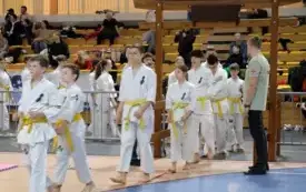Mistrzostwa w karate0118